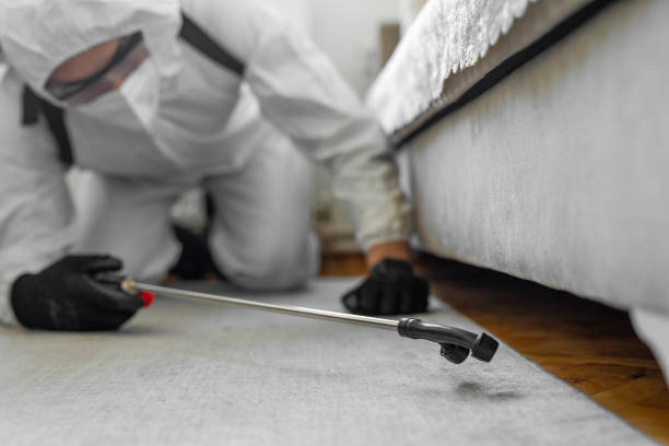 Professional Bed Bug Control technician working in Hendersonville, NC