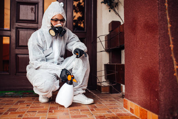 Reliable Bed Bug Control contractor in Hendersonville, NC by Nex Pest Control