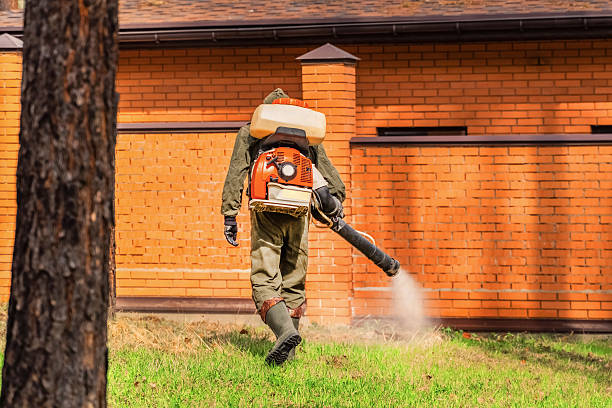 Trusted Cockroach Control service in Hendersonville, NC - Nex Pest Control